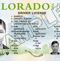 Buy Colorado Driver License and ID Card