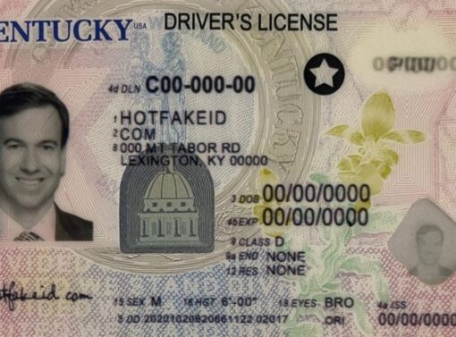 Buy Kentucky Driver License and ID Card online