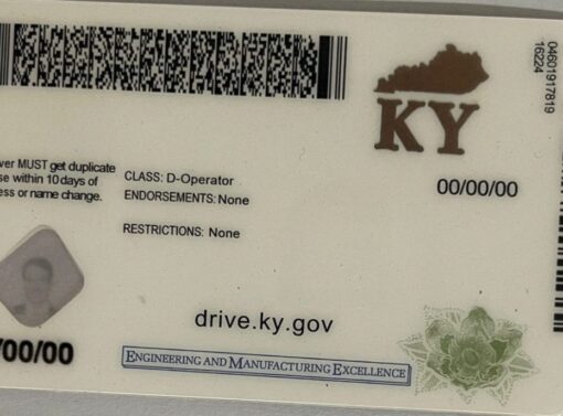 Buy Kentucky Driver License and ID Card online - Image 2