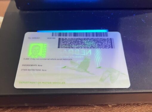 Buy Nebraska Driver License and ID Card - Image 2