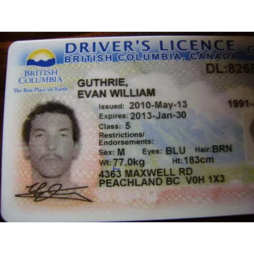 Buy British Columbia Driver Licence Online - Image 2