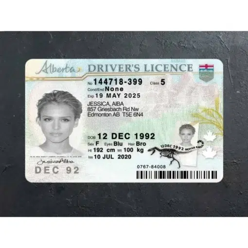 Buy Alberta Driver Licence Online