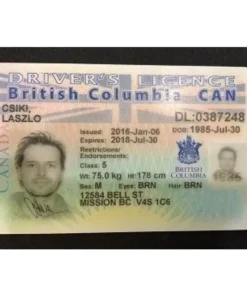 Buy British Columbia Driver Licence Online