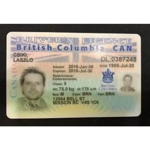 Buy British Columbia Driver Licence Online